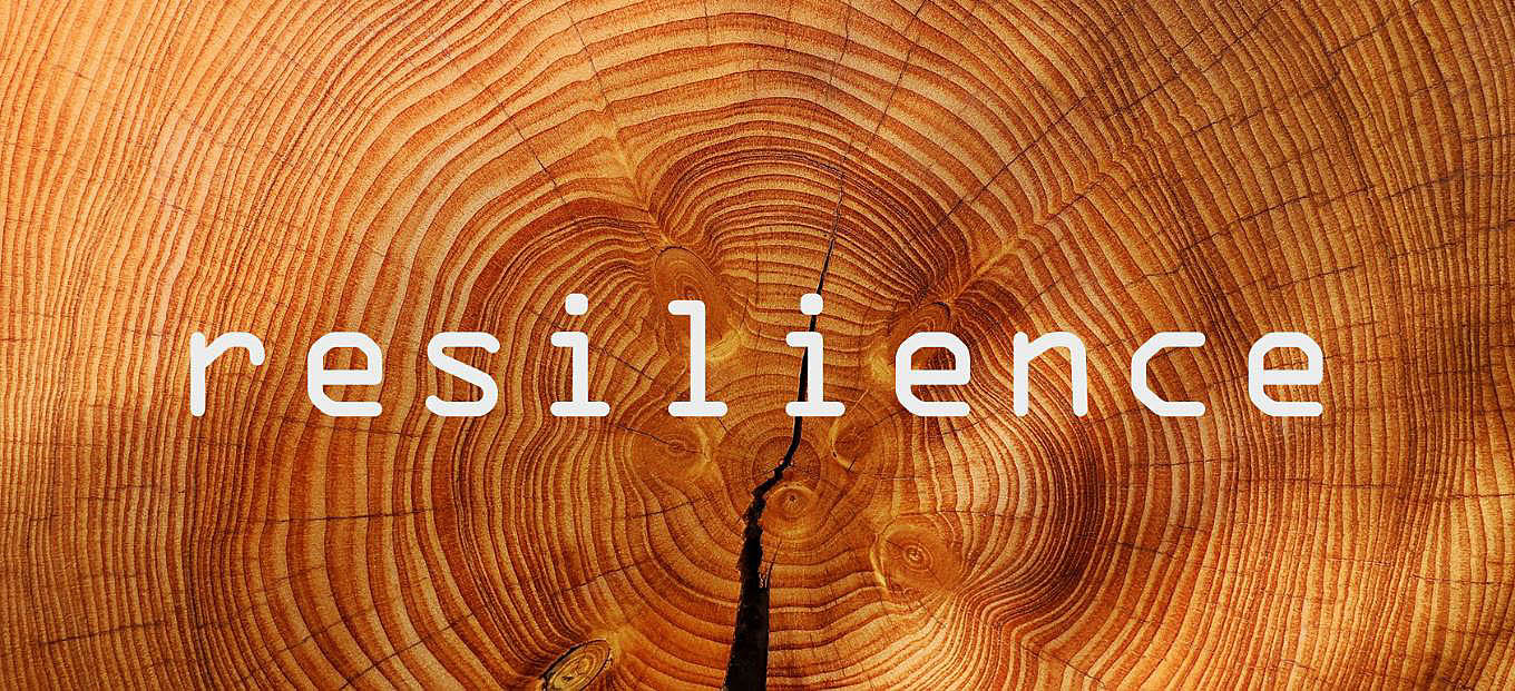Resilience1